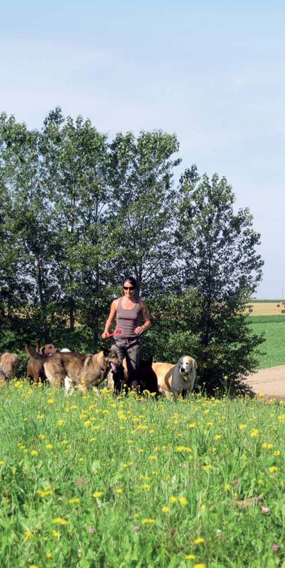 Marina Schark mit Hunden